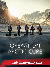 Operation Arctic Cure